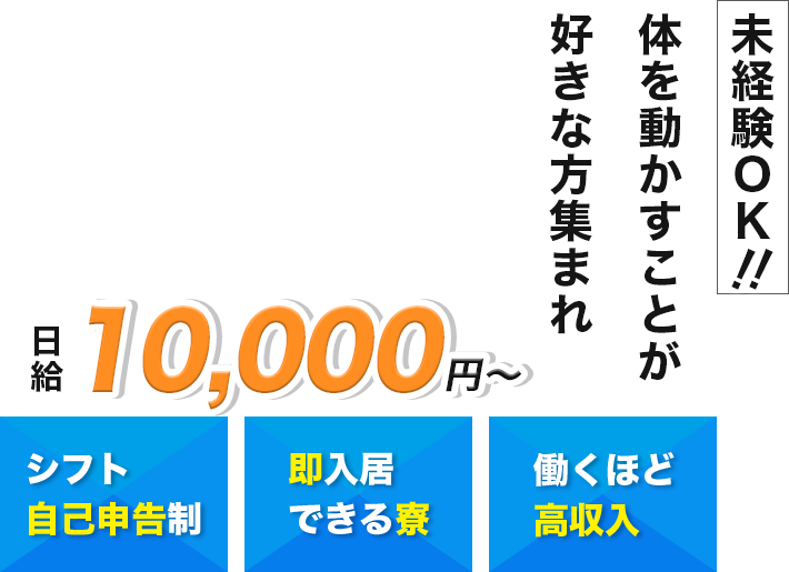 未経験ＯＫ‼体を動かすことが好きな方集まれ